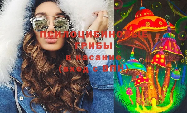 прущая мука Михайлов