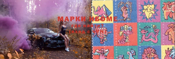 хмурый Надым