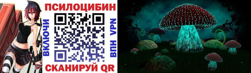 Галлюциногенные грибы Psilocybine cubensis  Купить закладки  Абакан 